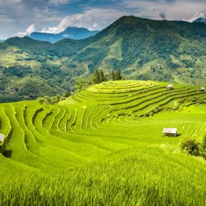 Landscape panorama of Vietnam, terraced rice fields of Hoang Su Phi district, Ha Giang province. Spectacular rice fields. Stitched panorama shot.